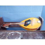 A mandolin