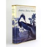 Roger Tory Peterson & Virginia Marie Peterson: 'Audubon's Birds of America'