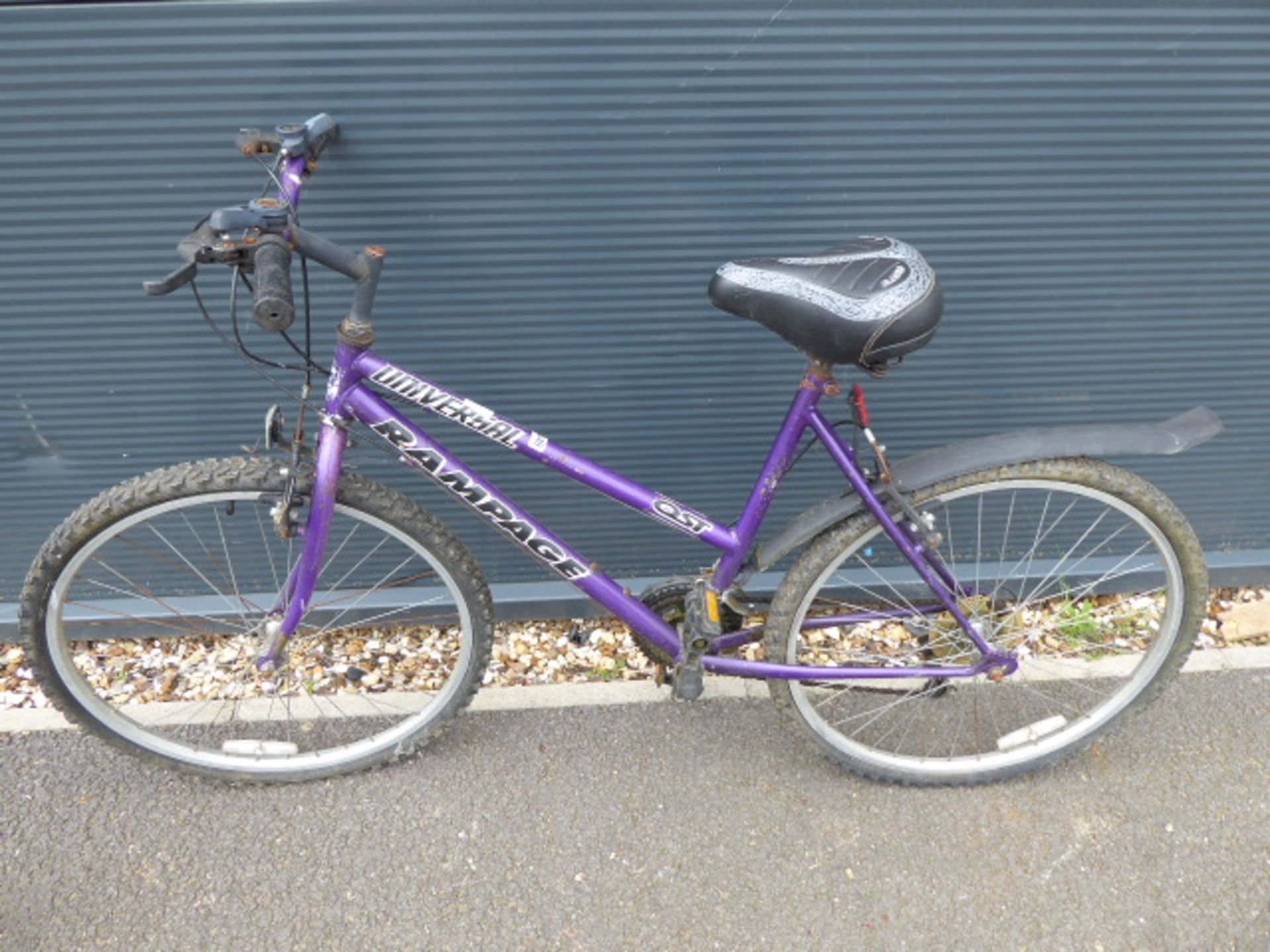 Small girls purple cycle