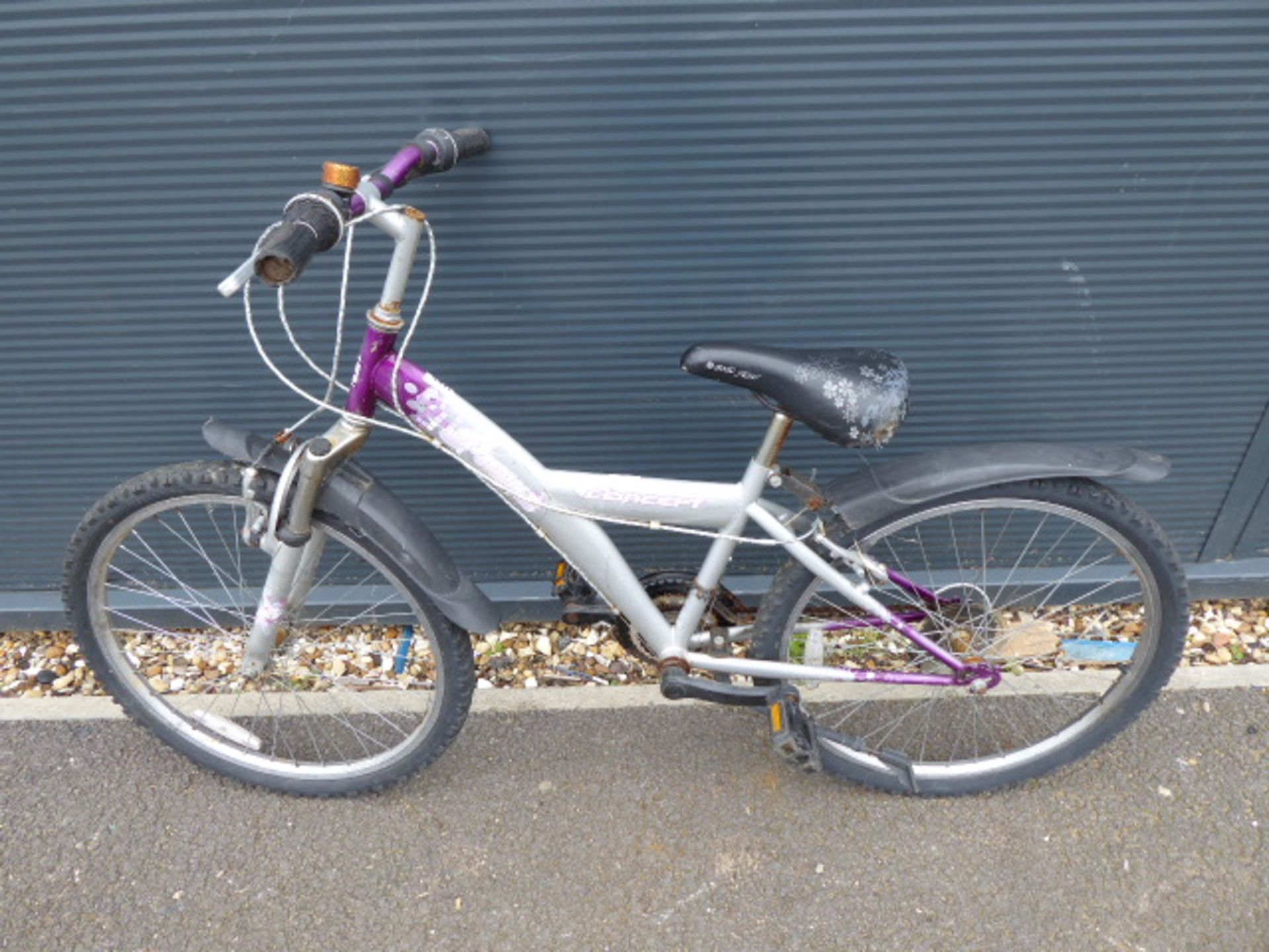 Silver and purple girls mountain cycle