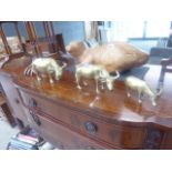 3 brass water buffalo