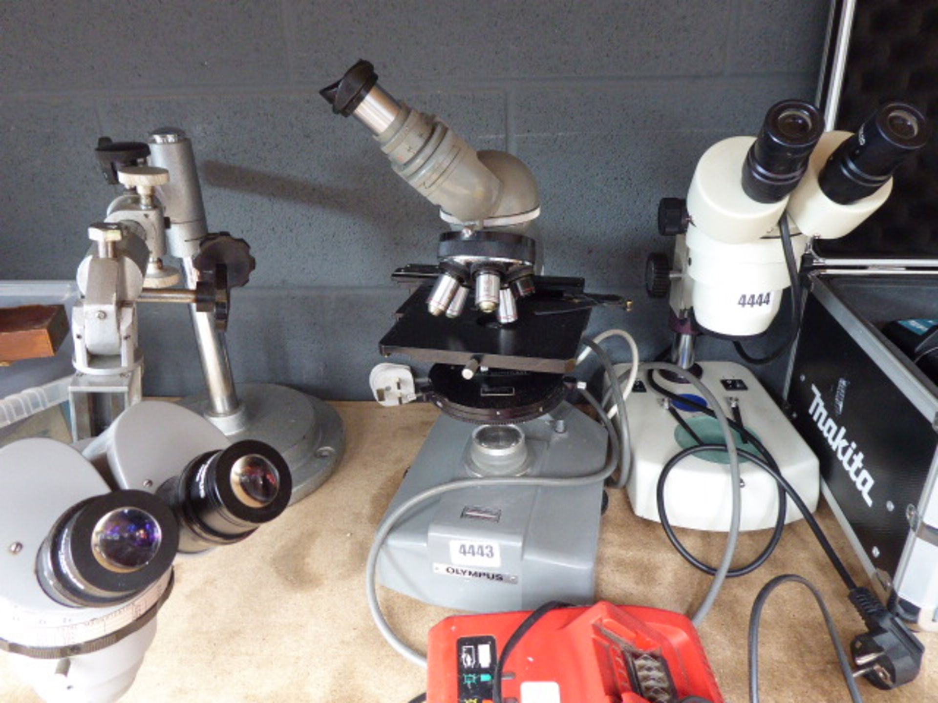 Olympus microscope