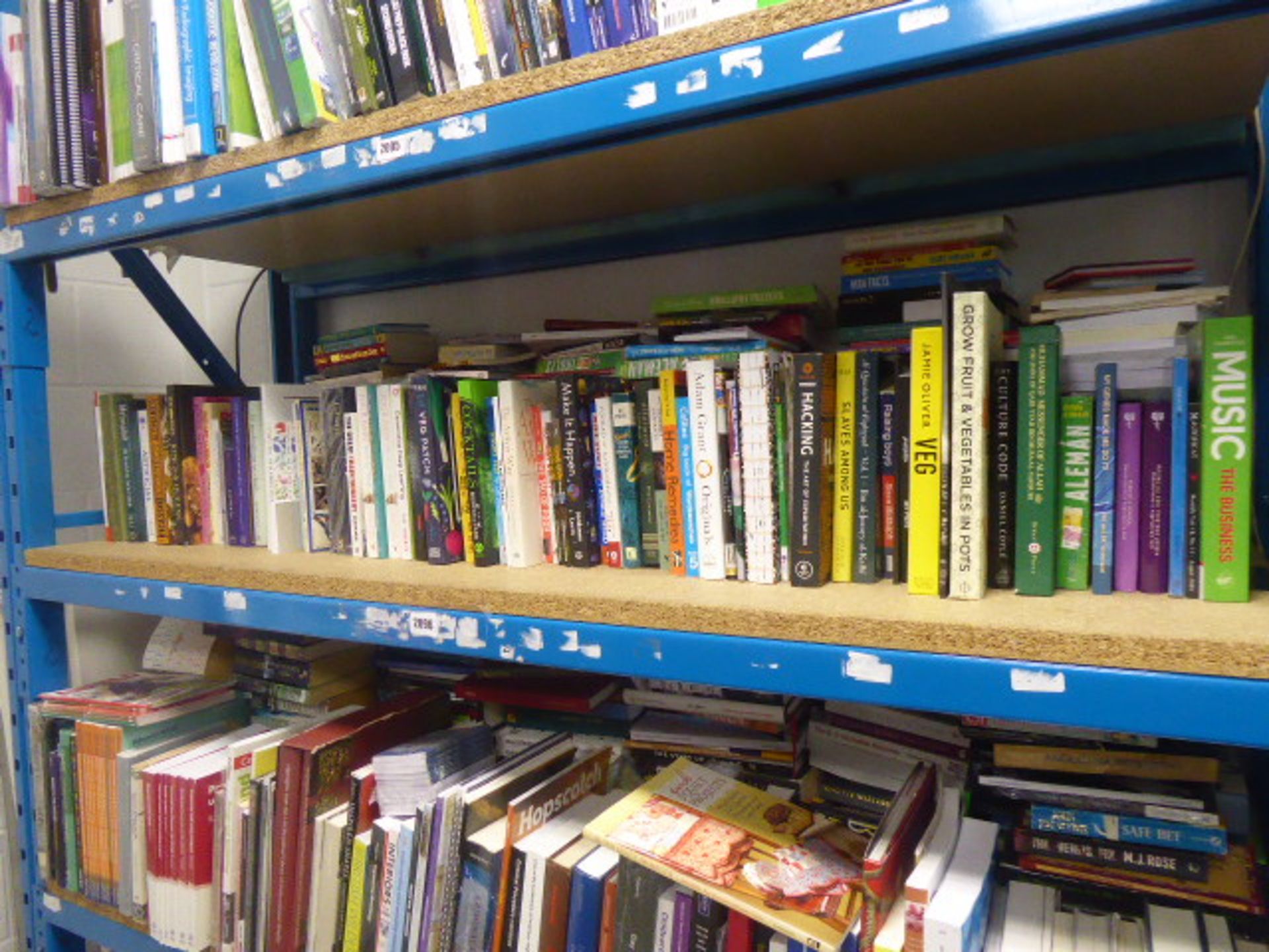 Shelf comprising of hardback and paperback novels, self help books, autobiographies, etc