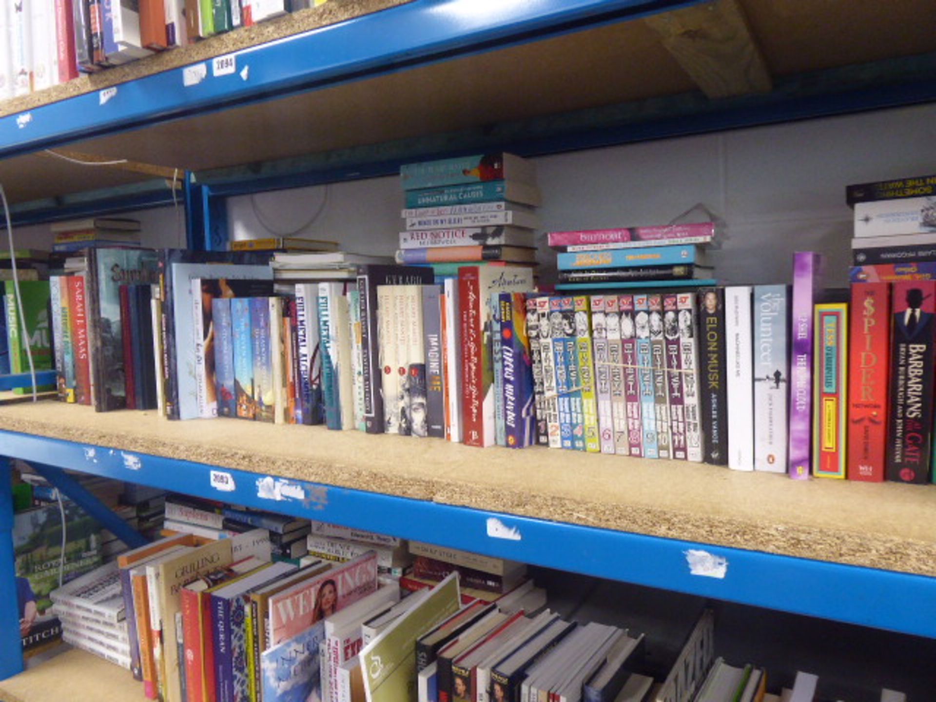 Shelf comprising of hardback and paperback novels, graphic novels, autobiographies, etc