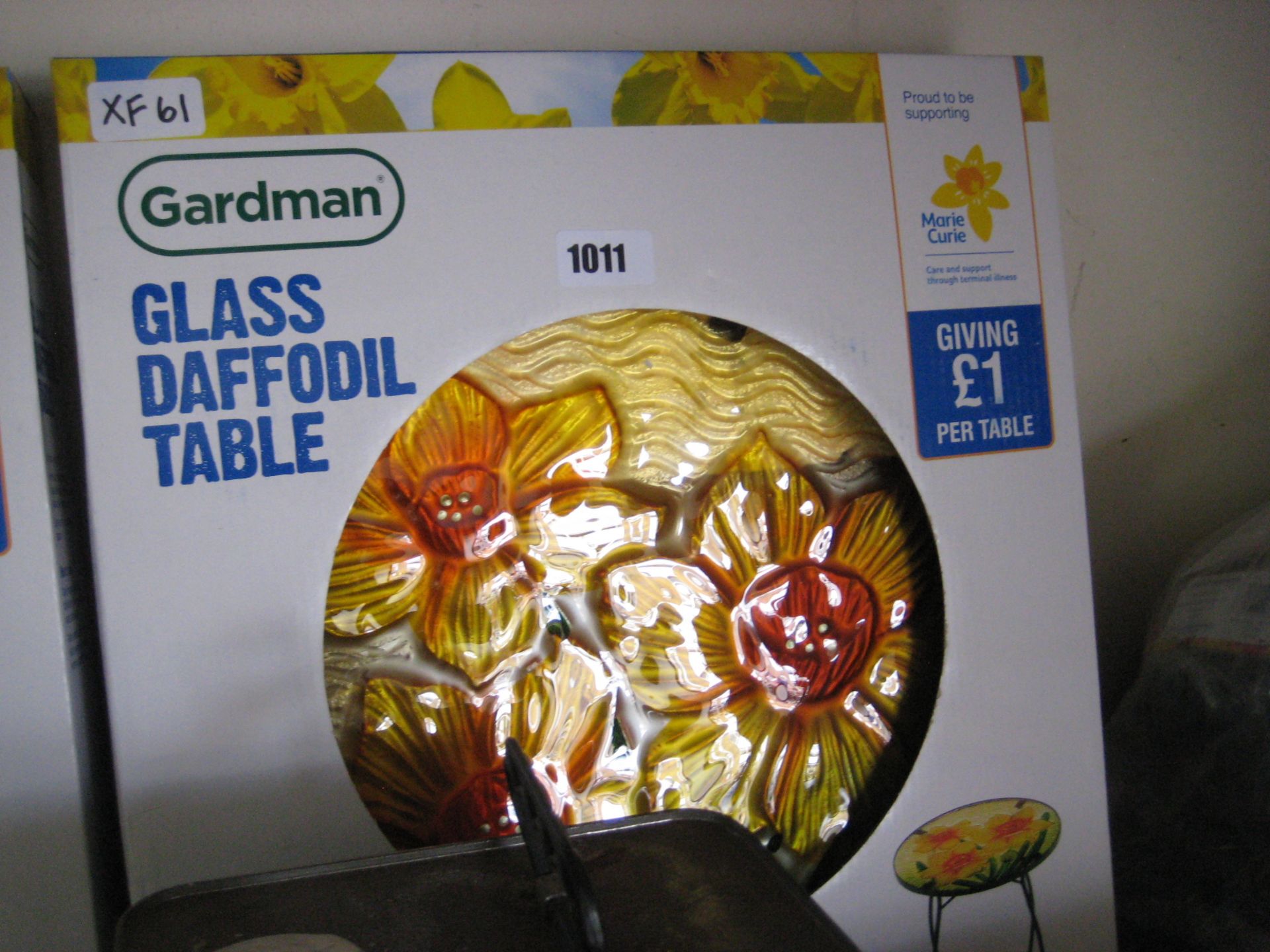 Boxed glass daffodil bird table