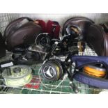 Half shelf containing collection of various fishing reels incl. Intrepid Prince Regent, DAM, Daiwa