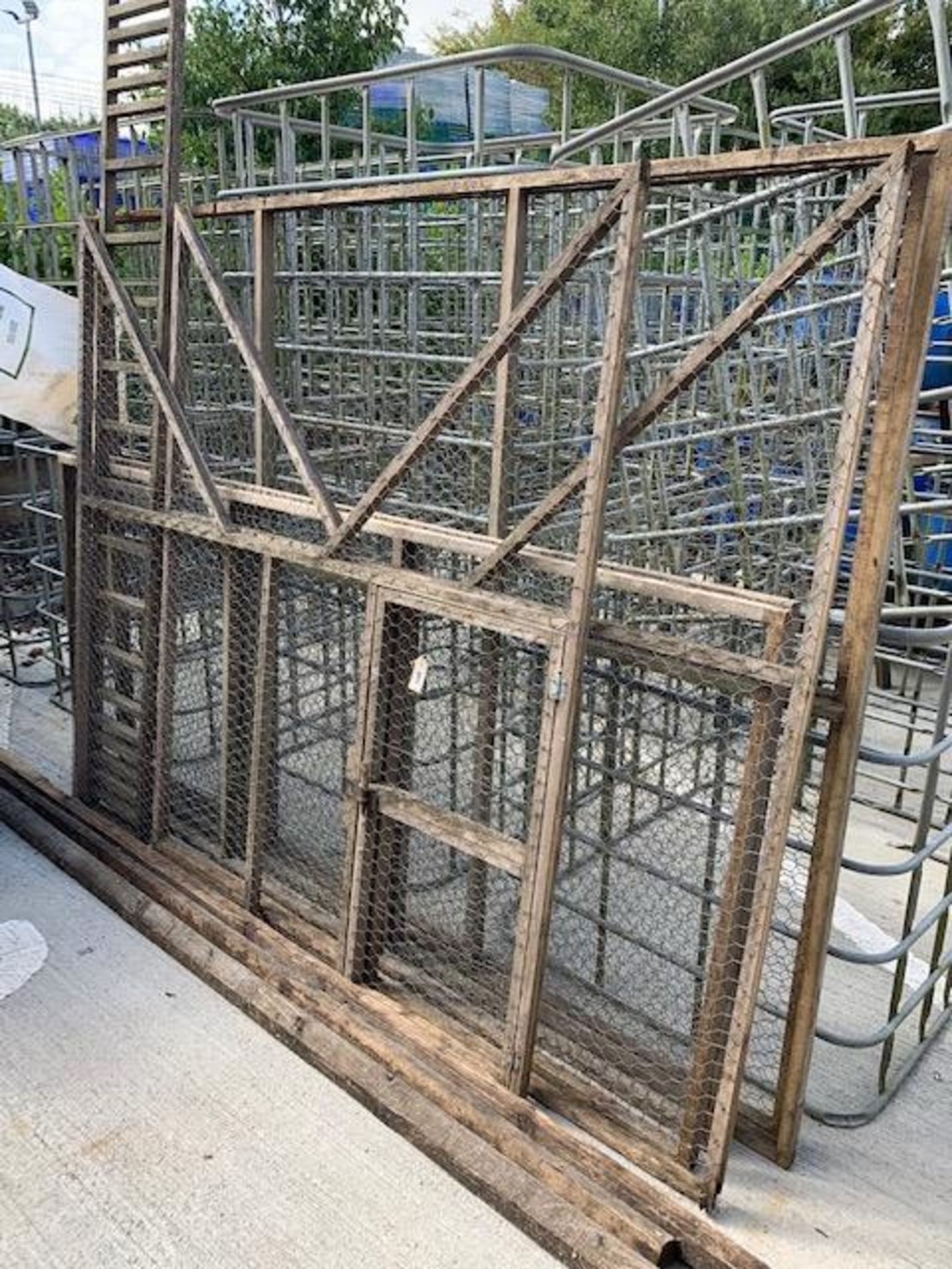 Rook/Crow ladder trap, timber and galvanized mesh panels