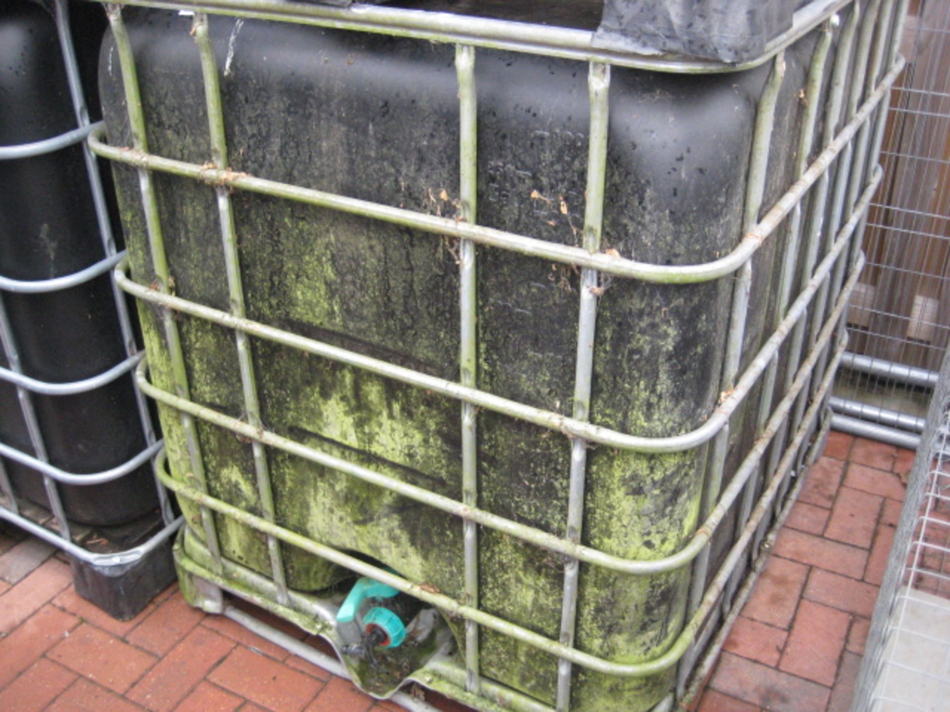 IBC water container in galvanized stillage