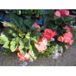 Pair of begonia planted patio tubs