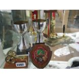 Collection of trophies