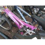 Universal Caiina ladies mountain bike in pink