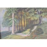 20th Century School, A tree walk, unsigned, oil on canvas,