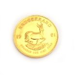 A Krugerrand dated 1981