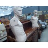 2 men's torso mannequins