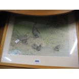 Framed and glazed print of game birds