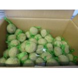 Box containing bird fat balls