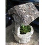 Wishing well containing potted succulent plant