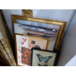 Large selection of big framed and glazed prints with some mirrors