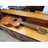 Nylon string guitar