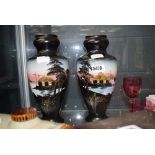 Pair of oriental vases