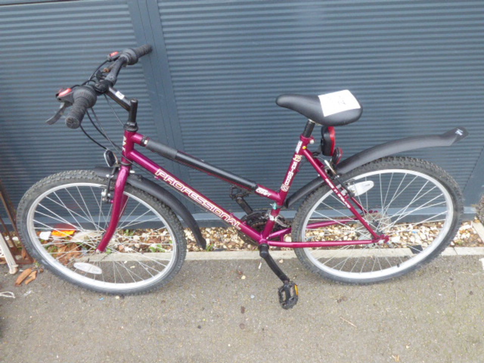 Purple ladies mountain bike