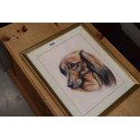 Pastel drawing of a dog