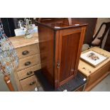 Edwardian single door pot cupboard