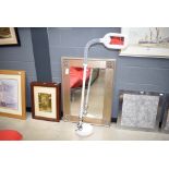 Floor lamp with adjustable neck