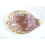 A mid-19th century carved abalone shell, engraved 'Great Eastern Steam Ship, 24,000 tons etc.