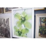 Framed and glazed print of green orchids, Anne Marie Peter-Jaumann