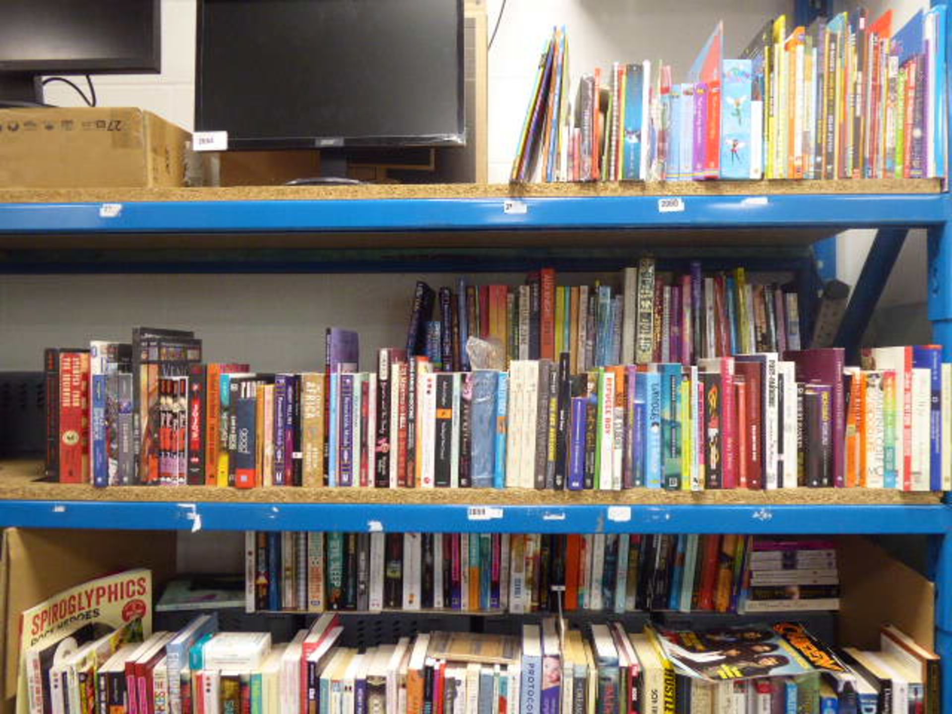 Shelf comprising of a mixture of graphics novels, hardback and paperback fictional books, self
