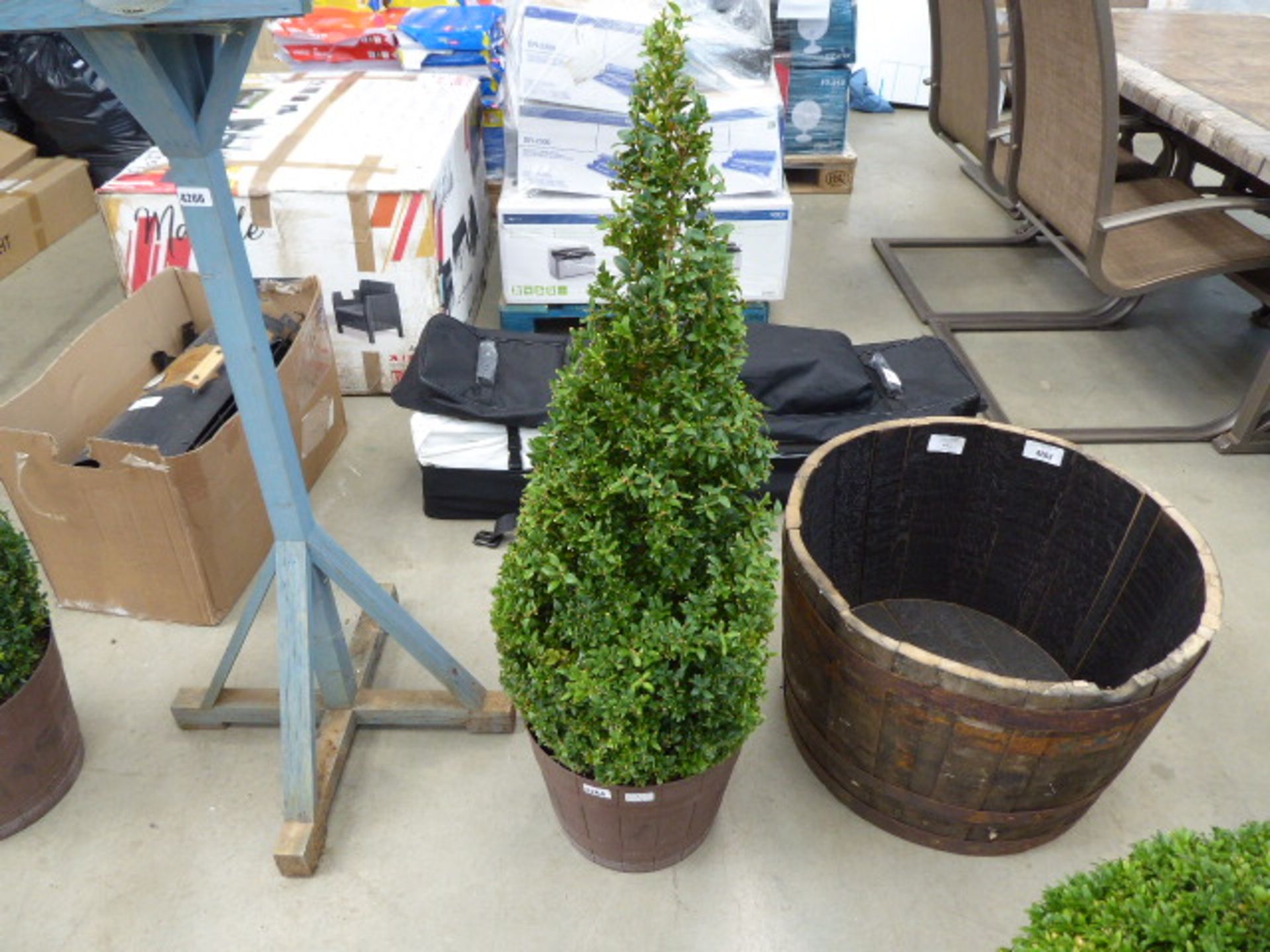 92cm high and 35cm diameter conical buxus bush