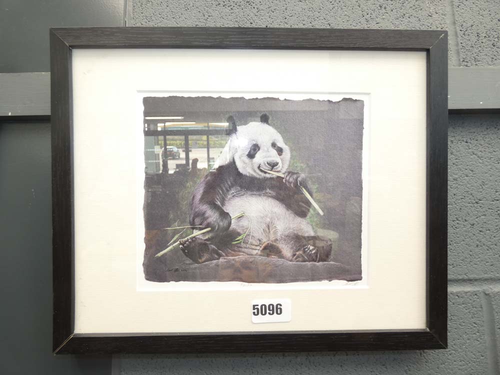 Watercolur of a panda eating bamboo signed by Neil Griffin