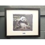 Watercolur of a panda eating bamboo signed by Neil Griffin