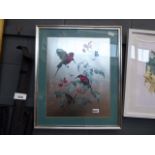 Framed and glazed print with sun birds and insects