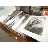 Box containing a large quantity of photographic prints of birds