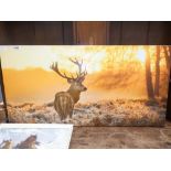 Modern wall hanging of a stag in woodland