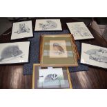 8 prints of woodland and other creatures