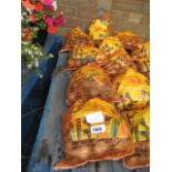 4 bags of daffodil bulbs