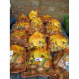 5 bags of daffodil bulbs