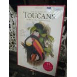 Packaged set of 51 Taschen prints depicting the Toucan family