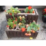 2 tier wooden planter with mixed plants