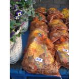 5 bags of daffodil bulbs