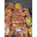 5 bags of daffodil bulbs