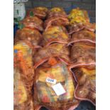 5 bags of daffodil bulbs