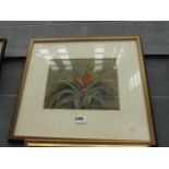 5280 Pastel drawing of a flowering plant