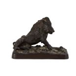 An early 20th century bronze figure modelled as a half-seated boar on a naturalistic base, w.