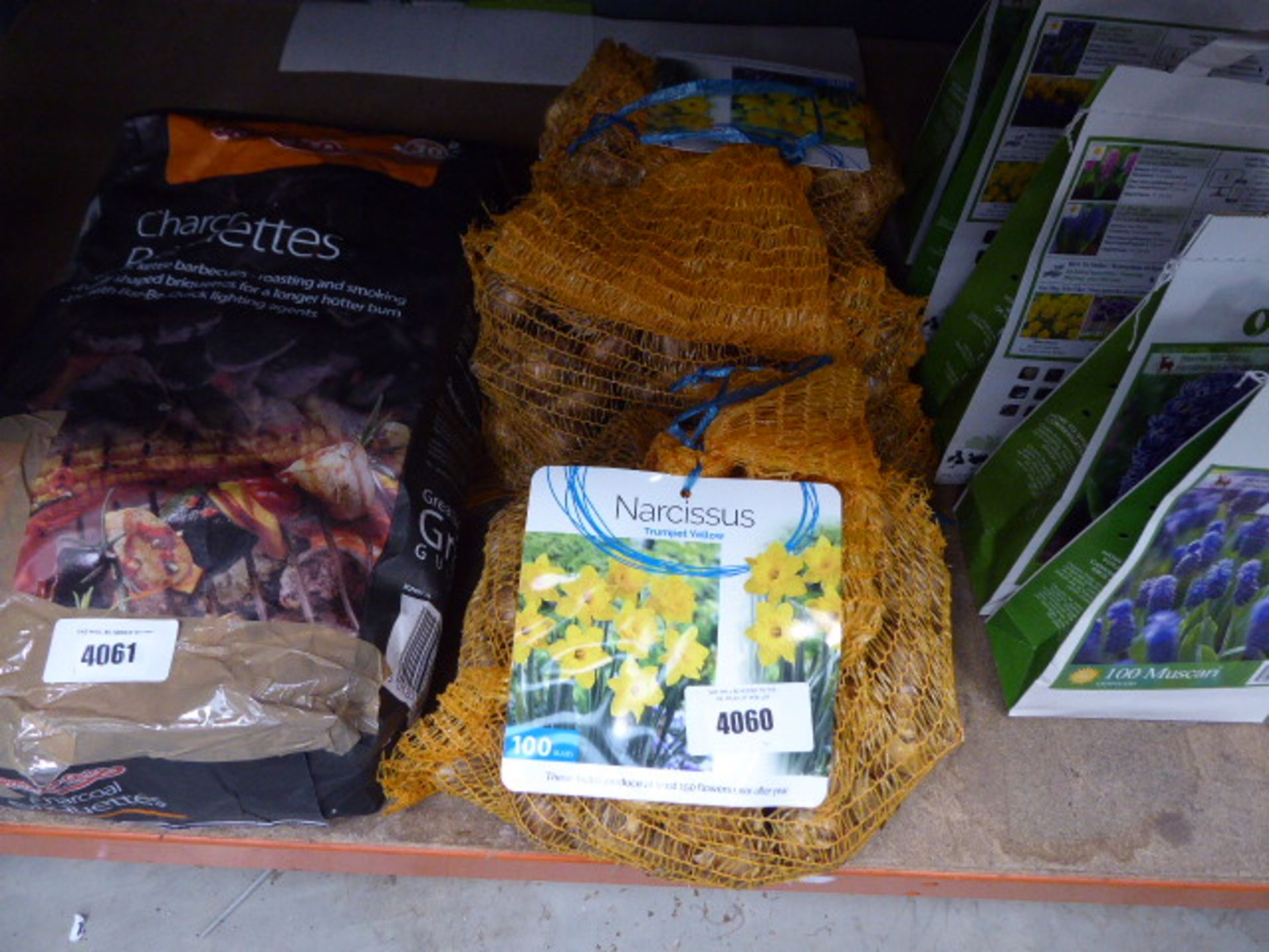 3 bags of 100 bulbs of Narcissi