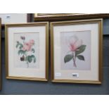 Pair of floral prints - roses and magnolia