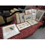 Collection of pictures to include Oriental prints and boating sketches